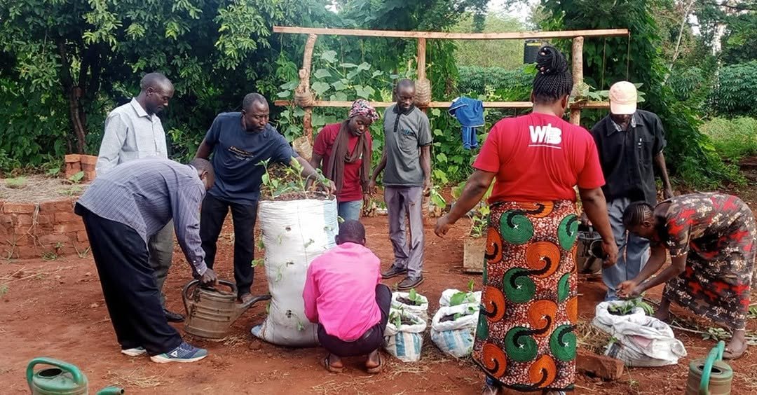 Environment & Climate Change